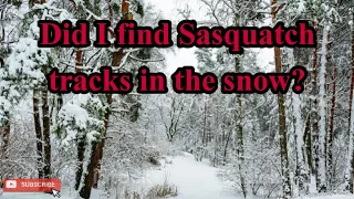 Did I find Sasquatch tracks in the snow?