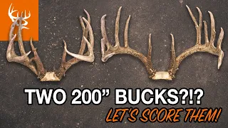 TWO 200" BUCKS | Rochey's GIANTS Measured and SCORED | BUCK COMMANDER