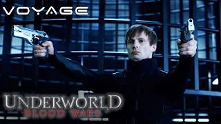 Underworld: Blood Wars | Varga Slaughters All The Trainees | Voyage