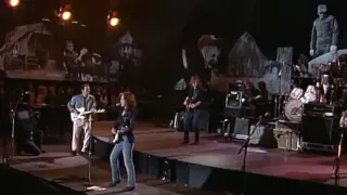 Bonnie Raitt & John Hiatt - Thing Called Love (Live at Farm Aid 1990)