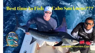 Best Time to Fish in Cabo San Lucas, Mexico | Marlin, Tuna and Rooster Fish Seasons