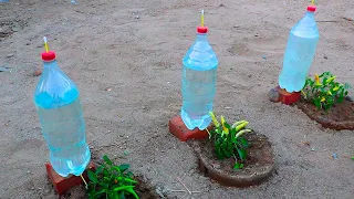 How to make Drip Irrigation with plastic bottles for 15 days of slow drip.
