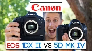 Which one is better for you? Canon EOS 1Dx MK II vs Canon EOS 5D MK IV (english)