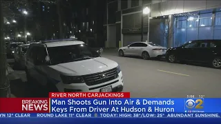 Carjacking, Attempted Carjacking Reported Overnight In River North