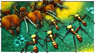 EPIC Clash Between Army Ants & Leaf Cutter Ants | Empires Of The Undergrowth