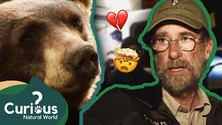 A Shocking Incident That Has NEVER Happened Before! 🤯 | The Bear Whisperer | Curious?: Natural World