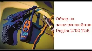 Обзор на электроошейник Dogtra 2700 T&B