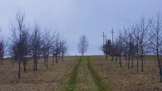 2021-05-08 Св. Месса из Пакутувенай (на русском) | Šv. Mišios iš Pakutuvėnų bažnyčios (rusų kalba)