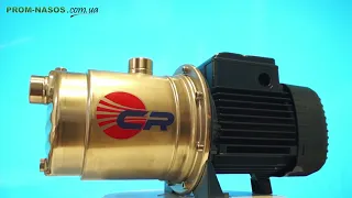 5CR 100 насос центробежный Pedrollo  centrifugal pump  Pompa odśrodkowa