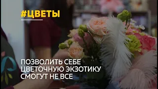 Роза, тюльпан, хризантема. Что ждёт цветочный бизнес?