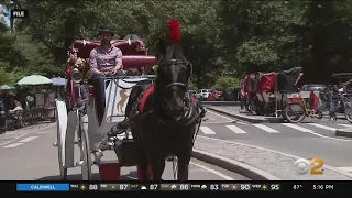 New proposal aims to get rid of horse-drawn carriages in NYC