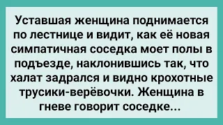 Соседка в Подъезде Задрала Халат и Показала Трусы Веревочки! Сборник Свежих Смешных Анекдотов!