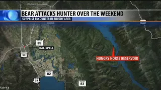 Hunter attacked by bear near Hungry Horse Reservoir