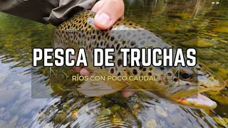 PESCA DE TRUCHAS EN UN RÍO CON MUY POCO CAUDAL 🎣😬 ESTOS SON LOS SEÑUELOS QUE PUEDES USAR