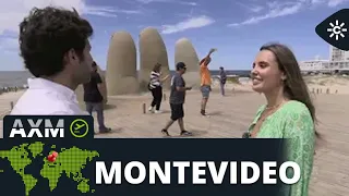 Andalucía X el mundo |Punta del Este, destino turístico exclusivo de glamour y playas paradisíacas