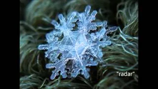 Macro Snowflakes