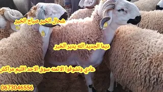 من سوق الاحد المنابهة اقليم مراكش اثمنة الغنم اليوم بتاريخ 26/05/2024 #عيد_الاضحى 🇲🇦🐏