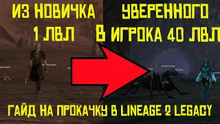 Гайд Как быстро прокачаться С 1 по 40 лвл в Lineage 2 Legacy