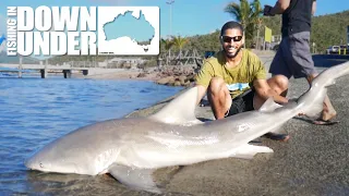 GERMAN GUY catches HUGE BULL SHARK from the jetty - Fishing in Down Under - Episode 1