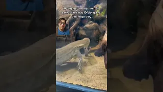 Water monitors are AWESOME