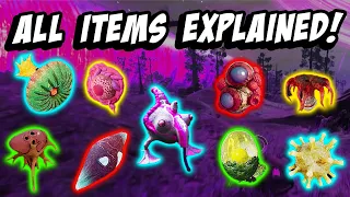 All Items Explained in the Eternal Cylinder!