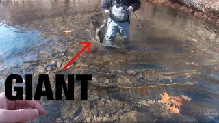 The craziest trout fishing I’ve ever experienced! (West Virginia Trout Fishing)