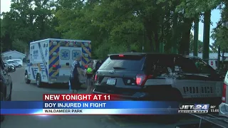 Fight at Waldameer sends one person to the hospital