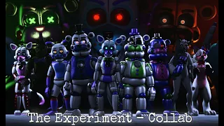 |SFM/OCS| The Experiment || Collab