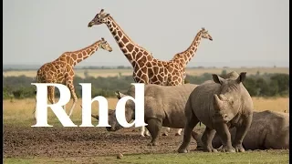 Zebra, Rhino, Giraffe, Crocs,  Waterberg, (part 2) Nature 2018 HD Documentary.