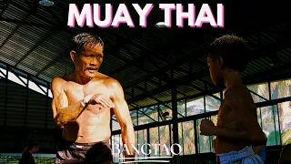 Fighters Class | Padwork, Sparring & Clinching | Bangtao Muay Thai