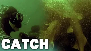 Swimming with Goonch Catfish | River Monsters | Catch