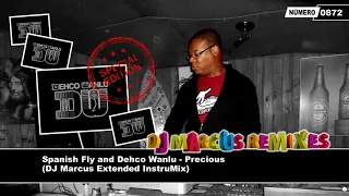 Spanish Fly and Dehco Wanlu - Precious (DJ Marcus Extended InstruMix)