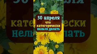 30 апреля народный праздник Зосима пчельник. Что нельзя делать. Народные приметы и традиции