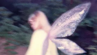 "A real life fairy accidentally caught on camera in the 1980s" - DALL-E II | Apollo Art Analysis