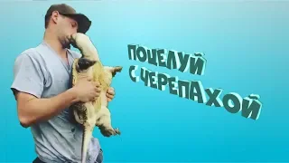 ПРИКОЛЫ 2018 ДЕКАБРЬ #90 ржака угар лучшие приколы