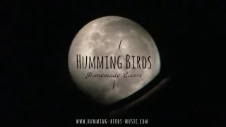 HUMMING BIRDS - Il y a (Gaëtan Roussel / Vanessa Paradis cover)