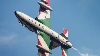 Europe's largest aerobatic team: the amazing Frecce Tricolori