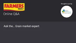 Ask the… Grain market expert