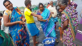 kasimadu meen yaalam kasimadu fish Market Chennai