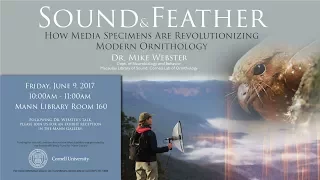 Webster, Sound and Feather