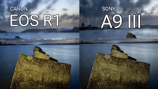 Canon Eos R1 vs Sony A9 iii Camera test