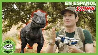 Pequeños Dinosaurios, Gran Lío | 🦖 T-Rex Rancho | Moonbug Kids - Parque en Vivo!