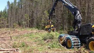 New Jobs with JDI Sponsored Forest Operator Training