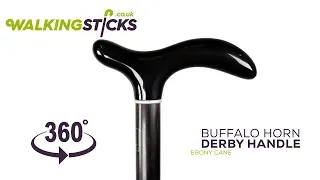 Buffalo Horn Derby Handle Ebony Cane | WalkingSticks.co.uk