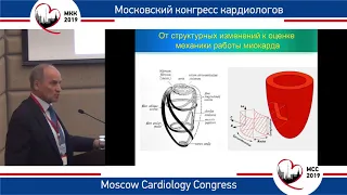 Ю.А. Васюк. Кардиоонкология: как следить за онкологическим больным?