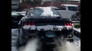 2021 Ford Mustang GT Premium Cold Start
