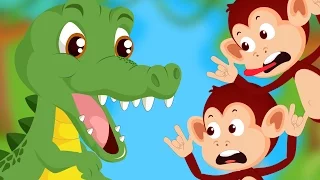 Five Little Monkeys Swinging In A Tree 🐊🐒 | 5 Little Monkeys Swinging In A Tree Song | Monkeys Rhyme