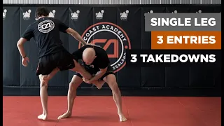 Single Leg Entries and Takedowns