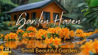 Garden Landscaping Idea: Designing a Beautiful Small Garden into Stunning Outdoor Oasis |Tips & Idea