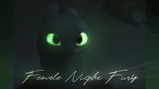 What if Toothless met another Night fury? (edit)